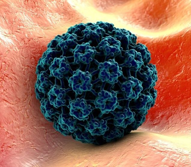 Model 3D wirusa HPV powodującego brodawki na rękach